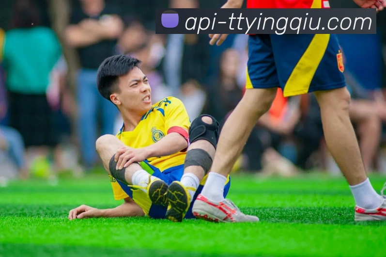 天天盈球平台生态图