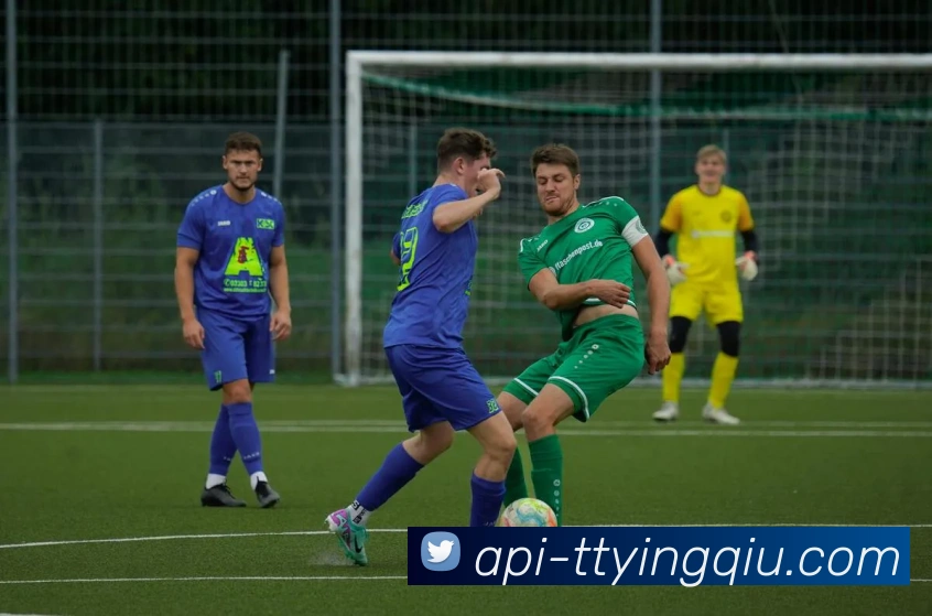 天天盈球APP 封面图